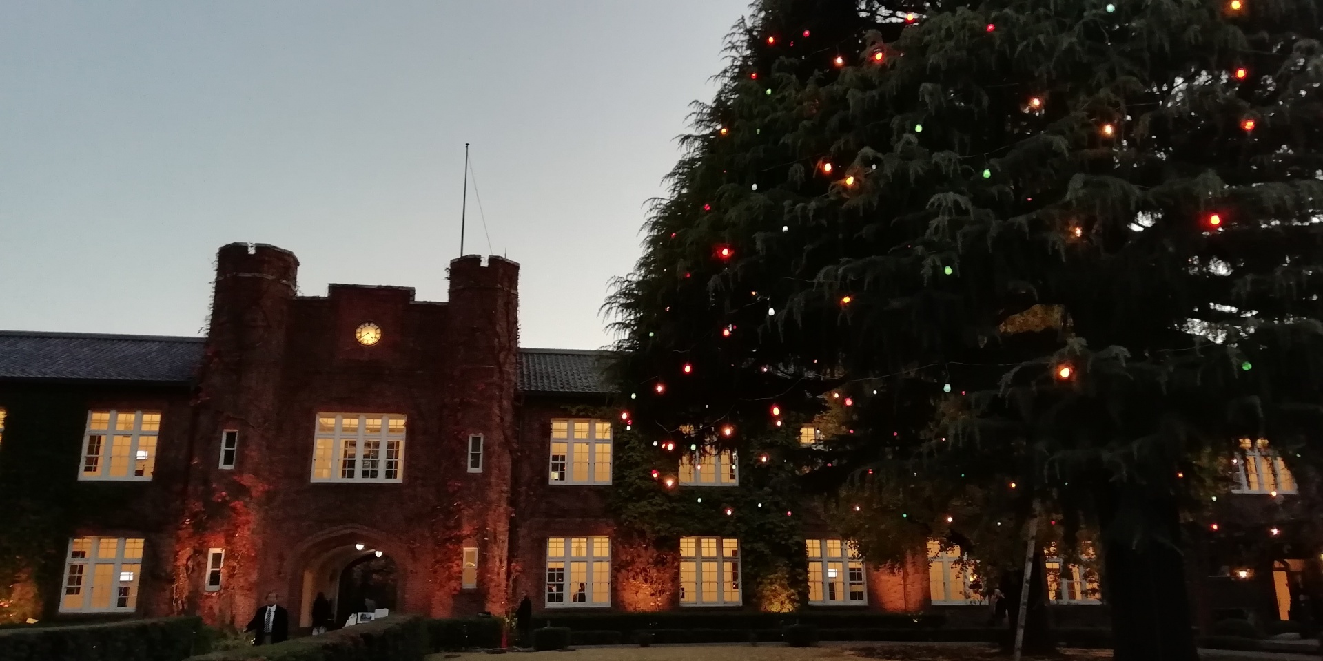 立教大学池袋キャンパスのクリスマスツリー